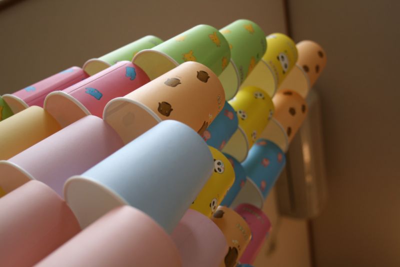 cách ngắm hoa hanami như người nhật bản